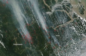 Спутник Terra зафиксировал над Индонезией рекордные показатели загрязнения атмосферы продуктами горения