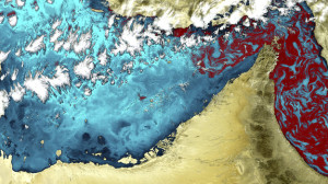 Спутниковый снимок вредоносного цветения воды
