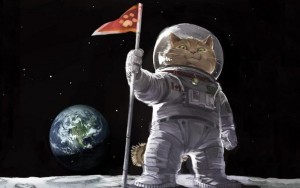 Иран действительно отправит в космос персидского кота