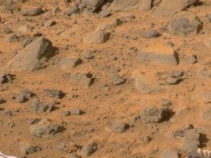 Изменчивость галогенов в почве Марса