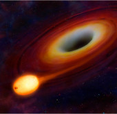 Сигнал бедствия от звезды, поглощенной черной дырой среднего размера