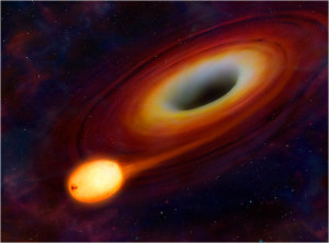 Сигнал бедствия от звезды, поглощенной черной дырой среднего размера