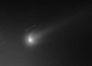 Снимок кометы ISON, сделанный 16 ноября 2013 года