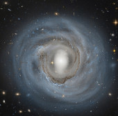Спиральная галактика NGC 4921