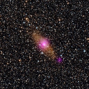 Ультраяркий рентгеновский источник галактики Circinus