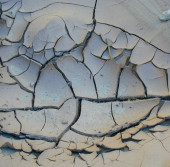 Cracked earth (DI02516)