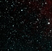 Снимок участка неба в созвездии Рыба, сделанный «NEOWISE» после возобновления миссии1