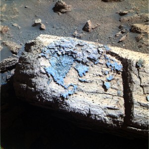 Lichen on Mars
