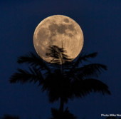 Луна (снимок астрофотографа Mike Neal, сделанный 18 сентября 2013 года на Гавайях)