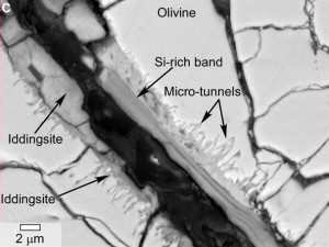 Микроскопное изображение «туннелей» и микроструктур марсианского метеорита Yamato 000593