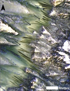 Темные, сезонные потоки, стекающие со склона марсианского кратера Palikir (снимок, сделанный камерой HiRISE Mars Reconnaissance Orbiter)