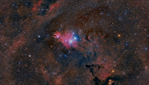 Снимок NGC 2264, сделанный астрономами-аматорами из Мичигана