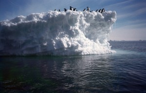 Таяние Западно-антарктического ледяного щита 