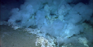 Гидротермальный источник срединно-океанического хребта