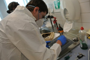 Jiri Sperka во время анализа углеродных наноструктур