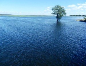 Наводнение в районе границы между Ботсваной и Намибией