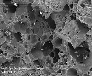Пористая структура кристаллических пород, служащих укрытиями для микроорганизмов во время астероидных и кометных бомбардировок