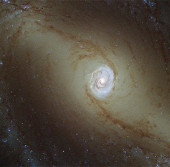Галактика NGC 1433