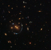 An Arc Sculpted by Gravity