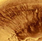 mars