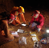 Исследования в рамках учений CAVES