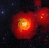 Галактика NGC 6946